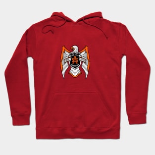 Eagle Symbol of Sports Hoodie